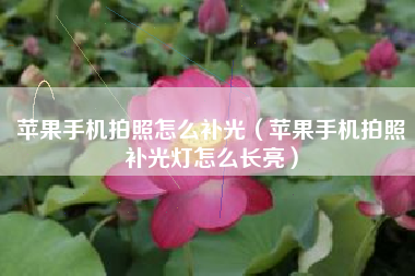 苹果手机拍照怎么补光（苹果手机拍照补光灯怎么长亮）