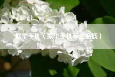 振华手机（振华手机军工品质）