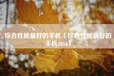 综合性能最好的手机（综合性能最好的手机2024）