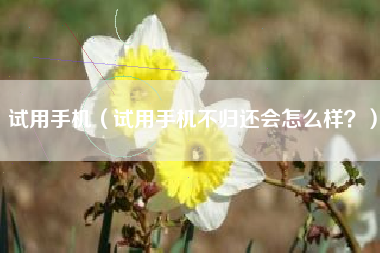 试用手机（试用手机不归还会怎么样？）