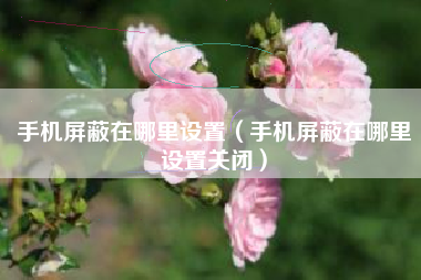 手机屏蔽在哪里设置（手机屏蔽在哪里设置关闭）