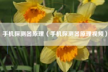手机探测器原理（手机探测器原理视频）