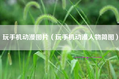 玩手机动漫图片（玩手机动漫人物简图）