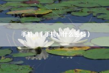 手机all（手机All什么密码）