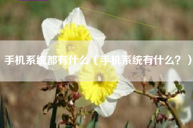手机系统都有什么（手机系统有什么？）