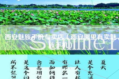 西安魅族手机专卖店（西安哪里有卖魅族手机）