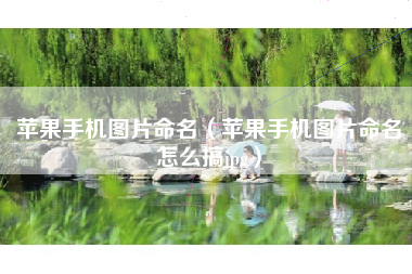 苹果手机图片命名（苹果手机图片命名怎么搞jpg）