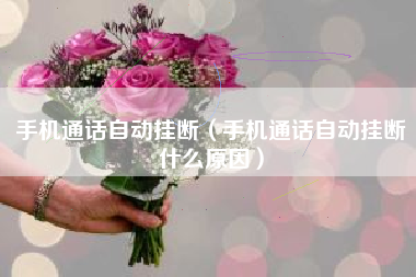 手机通话自动挂断（手机通话自动挂断什么原因）