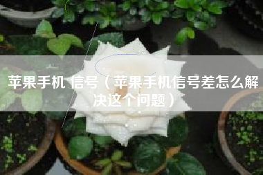 苹果手机 信号（苹果手机信号差怎么解决这个问题）