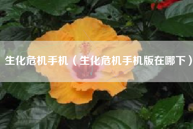 生化危机手机（生化危机手机版在哪下）