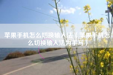 苹果手机怎么切换输入法（苹果手机怎么切换输入法为手写）