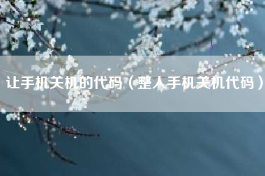让手机关机的代码（整人手机关机代码）