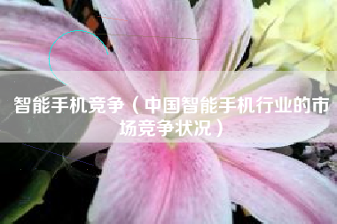 智能手机竞争（中国智能手机行业的市场竞争状况）