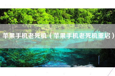 苹果手机老死机（苹果手机老死机重启）