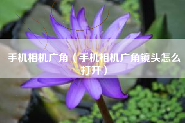 手机相机广角（手机相机广角镜头怎么打开）
