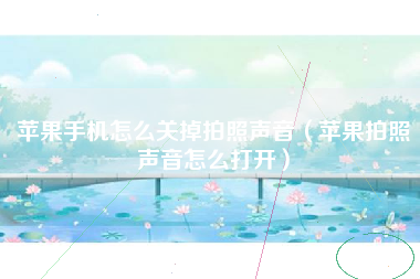 苹果手机怎么关掉拍照声音（苹果拍照声音怎么打开）