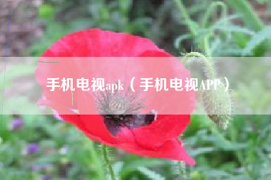 手机电视apk（手机电视APP）