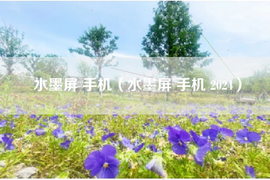 水墨屏 手机（水墨屏 手机 2024）