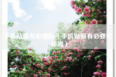 手机贴膜有必要吗（手机贴膜有必要吗 新闻）