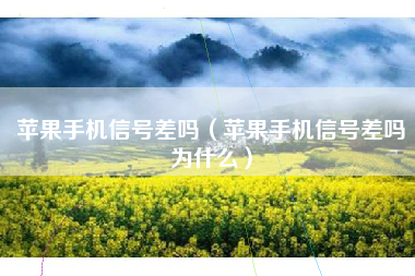 苹果手机信号差吗（苹果手机信号差吗为什么）