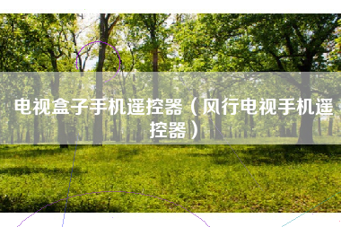 电视盒子手机遥控器（风行电视手机遥控器）