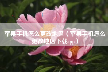 苹果手机怎么更改地区（苹果手机怎么更改地区下载app）