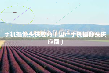 手机摄像头供应商（国产手机摄像头供应商）