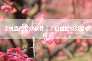 手机直播特效软件（手机直播特效音软件）