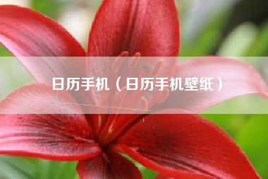 日历手机（日历手机壁纸）