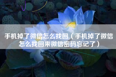 手机掉了微信怎么找回（手机掉了微信怎么找回来微信密码忘记了）