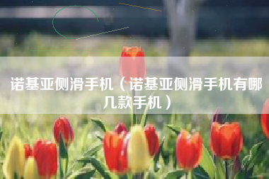 诺基亚侧滑手机（诺基亚侧滑手机有哪几款手机）