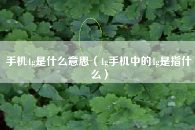 手机4g是什么意思（4g手机中的4g是指什么）