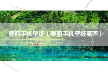 春丽手机壁纸（春丽手机壁纸原画）