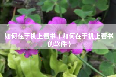 如何在手机上看书（如何在手机上看书的软件）