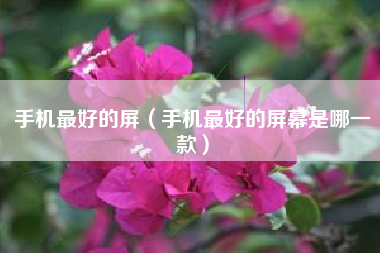 手机最好的屏（手机最好的屏幕是哪一款）
