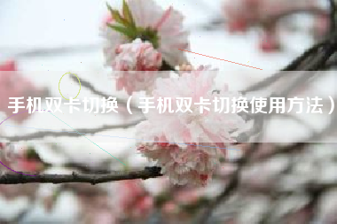 手机双卡切换（手机双卡切换使用方法）