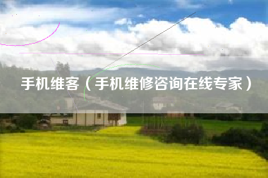 手机维客（手机维修咨询在线专家）