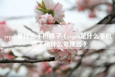 yepen是什么手机牌子（yepen是什么手机牌子用什么处理器）