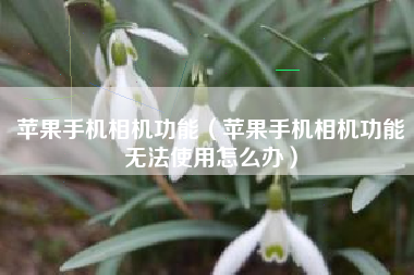 苹果手机相机功能（苹果手机相机功能无法使用怎么办）