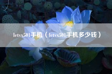 letvx501手机（letvx501手机多少钱）