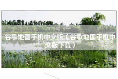 谷歌地图手机中文版（谷歌地图手机中文版下载）