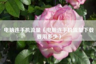 电脑连手机流量（电脑连手机流量下载要用多少）