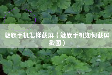 魅族手机怎样截屏（魅族手机如何截屏截图）
