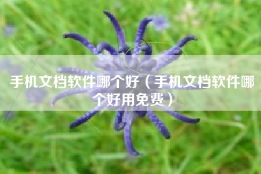 手机文档软件哪个好（手机文档软件哪个好用免费）