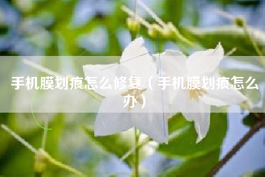 手机膜划痕怎么修复（手机膜划痕怎么办）