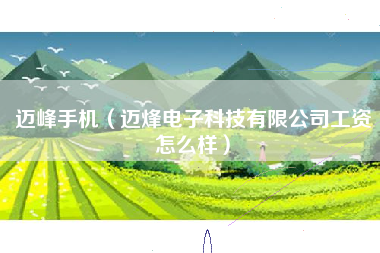 迈峰手机（迈烽电子科技有限公司工资怎么样）
