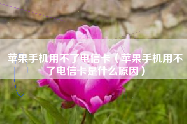 苹果手机用不了电信卡（苹果手机用不了电信卡是什么原因）