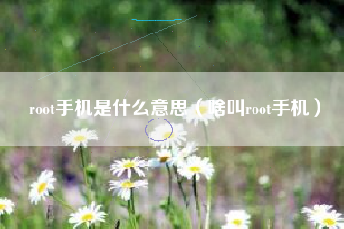root手机是什么意思（啥叫root手机）