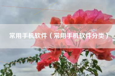 常用手机软件（常用手机软件分类）