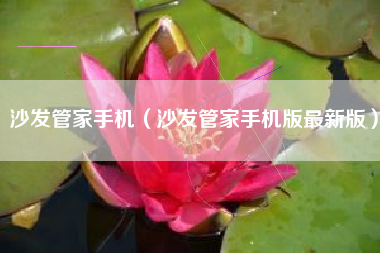 沙发管家手机（沙发管家手机版最新版）